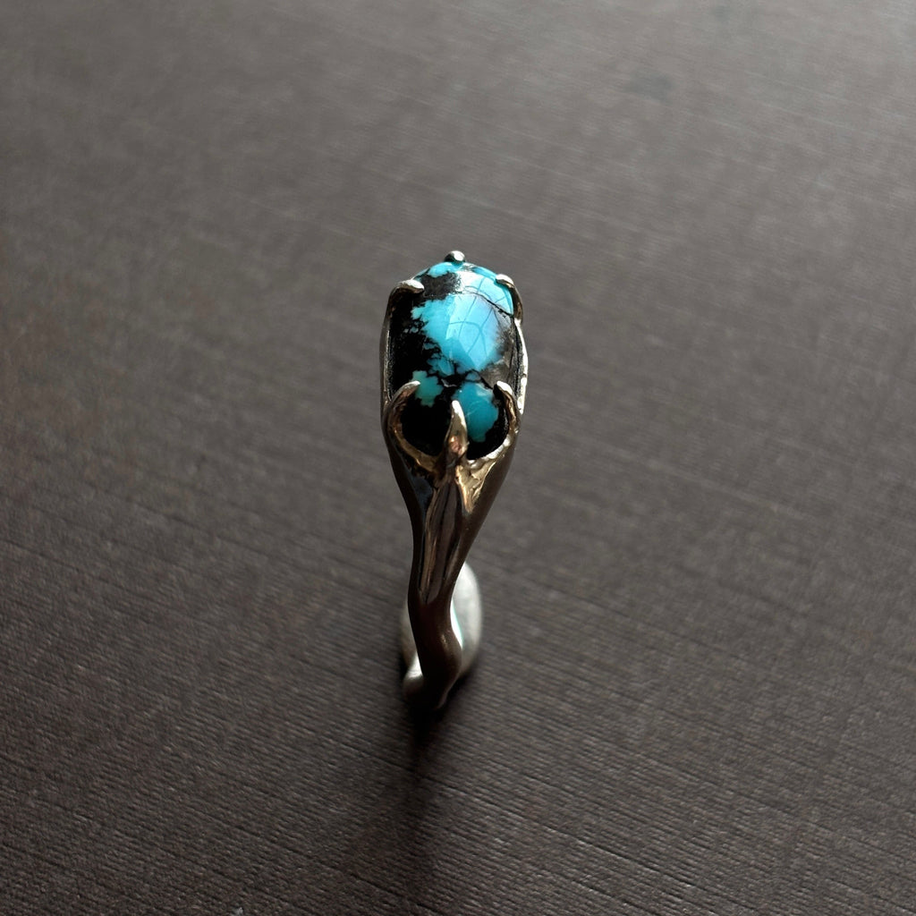 silver and turquoise ring on a brown background.